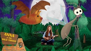 Echolocation The Bat Song Educational  Kids Music  2019 [upl. by Bowerman685]