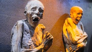 The Mummies of Guanajuato Inside the Museum Cemetery and More [upl. by Pollyanna]