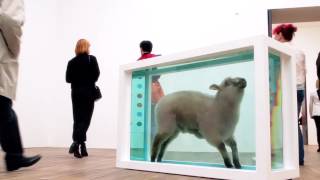 Damien Hirst at Tate Modern Away from the Flock [upl. by Anuahsar349]