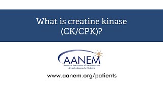 What is creatine kinase [upl. by Sillyrama419]