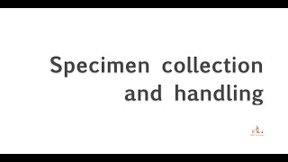 1 Specimen Collection MLTLectures [upl. by Enelra]