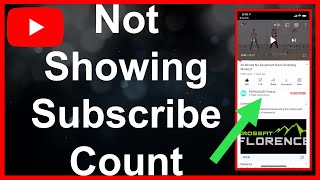 YouTube Subscriber Count Not Showing  FIX [upl. by Chace]