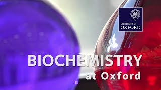 Biochemistry Molecular and Cellular at Oxford University [upl. by Trawets]