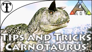 Fast Carno Taming Guide  Ark  Survival Evolved Tips and Tricks [upl. by Erodisi753]