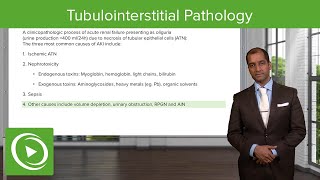 Tubulointerstitial Pathology – NephrologyFoundations  Lecturio [upl. by Naitsirt]