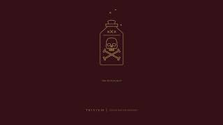 Trivium  The Revanchist Official Audio [upl. by Stevana702]