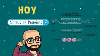 Síntesis de proteínas [upl. by Cornwall410]