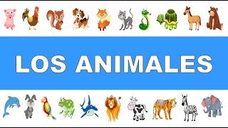 The Animals in Spanish 🦁 🐷 🐴 🐬 🐢 [upl. by Jolene54]