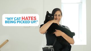 Teach Your Cat To Enjoy Being Picked Up [upl. by Neely]