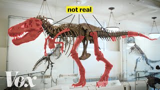 How scientists solved this dinosaur puzzle [upl. by Inavoy]