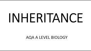 INHERITANCE  AQA A LEVEL BIOLOGY  EXAM QUESTIONS RUN THROUGH [upl. by Morissa212]