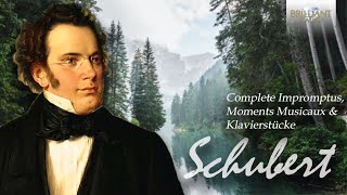 Schubert Complete Impromptus Moments Musicaux amp Klavierstücke [upl. by Ocana]