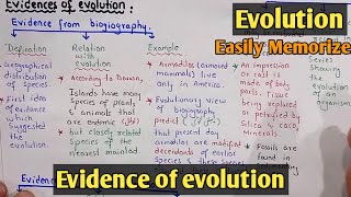 Evidence of evolution  Class 12 Biology [upl. by Limemann711]