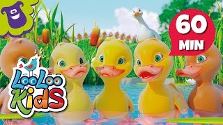 Five Little Ducks  S2EP15 Musical Adventure Collection  LooLoo Kids Songs for Kids [upl. by Anaxor]