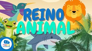 El Reino Animal para Niños  Videos Educativos para Niños [upl. by Davidde]