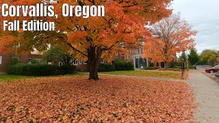 Downtown Corvallis Oregon and more Walking Tour 4k [upl. by Llenart969]