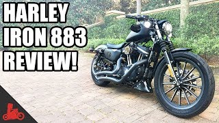 HarleyDavidson Iron 883 Sportster Review [upl. by Aihsela]