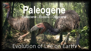 The Evolution of Life part 11  Paleogene [upl. by Fishman309]