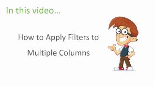 Excel Filters Training  Multiple Column Filters  Part 3 of 3 [upl. by Gauthier]