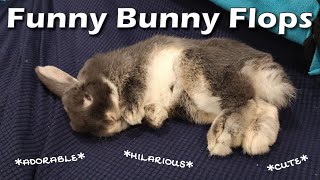 Five Minutes of Funny Bunny Flops [upl. by Yrovi46]