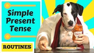 The Present Simple Tense  Carters breakfast routine [upl. by Puiia]