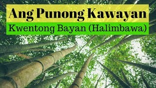 Ang Punong Kawayan  Araling Pilipino Kwentong Bayan Maikling Kwento [upl. by Jereme]