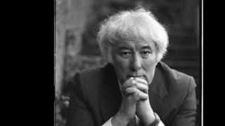 Seamus Heaney Mid Term Break [upl. by Llewsor]