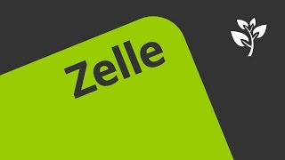 Zellen und Zellformen  Biologie  Cytologie [upl. by Eimor434]