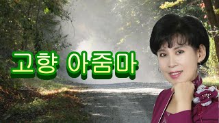 듣기좋은 트로트고향 아줌마 가수 혜인원곡 김상진 [upl. by Yrac285]