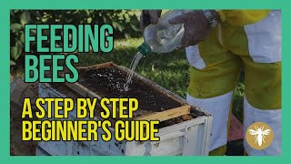 Feeding Bees A Step By Step Beekeeping for Beginners Guide [upl. by Blau]