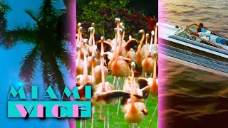 Every Opening Title Intro Seasons 15  Miami Vice [upl. by As236]