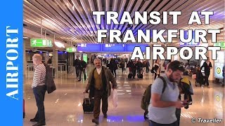 TRANSIT WALK AT FRANKFURT Airport FRA Terminal 1  Connection Flight Transfer Arriving amp Departing [upl. by Artnoed710]