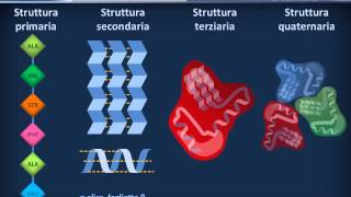 Citologia 08  Proteine [upl. by Ringe]