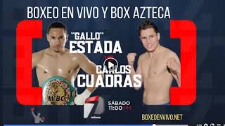 Ver Box Azteca 🥊 en Vivo y en Directo Online el Sábado [upl. by Pas]