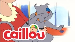 Caillou The Cats Meow  Videos For Kids [upl. by Ellenohs72]