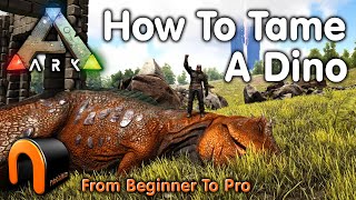 Ark HOW TO TAME A DINOSAUR Everything You Need To Know To Start Taming In 2020 ARK [upl. by Naved]