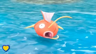 HOW TO GET Magikarp in Pokémon Lets Go Pikachu amp Eevee [upl. by Nol]