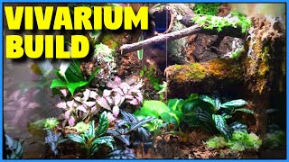 Bioactive Vivarium Build  Tropical Vivarium Setup StepByStep [upl. by Seldan808]