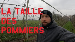 La taille des pommiers basse tige [upl. by Arreit]