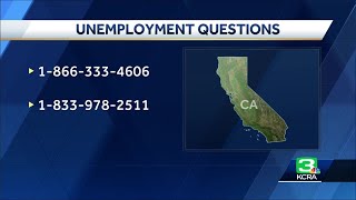 EDD official answers questions about unemployment benefits [upl. by Sacul972]