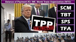 BoP3 Bretton Woods Organizations WTO Agreements IMF Gold Standard [upl. by Milo476]