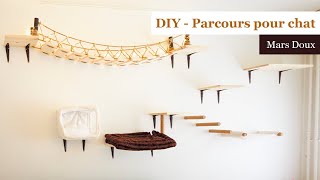 6 Tuto DIY Parcours pour chat  Petites Bricoleuses [upl. by Dix]